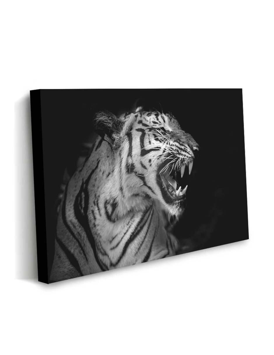 Cuadro decorativo Canvas Art Fotografía de tigre con barniz a registro