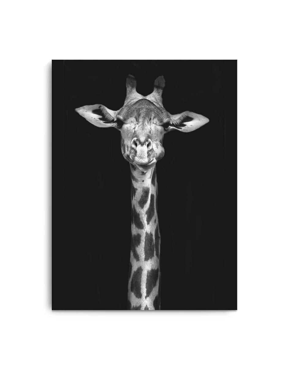 Cuadro decorativo Canvas Art Jirafa en blanco y negro con barniz a registro