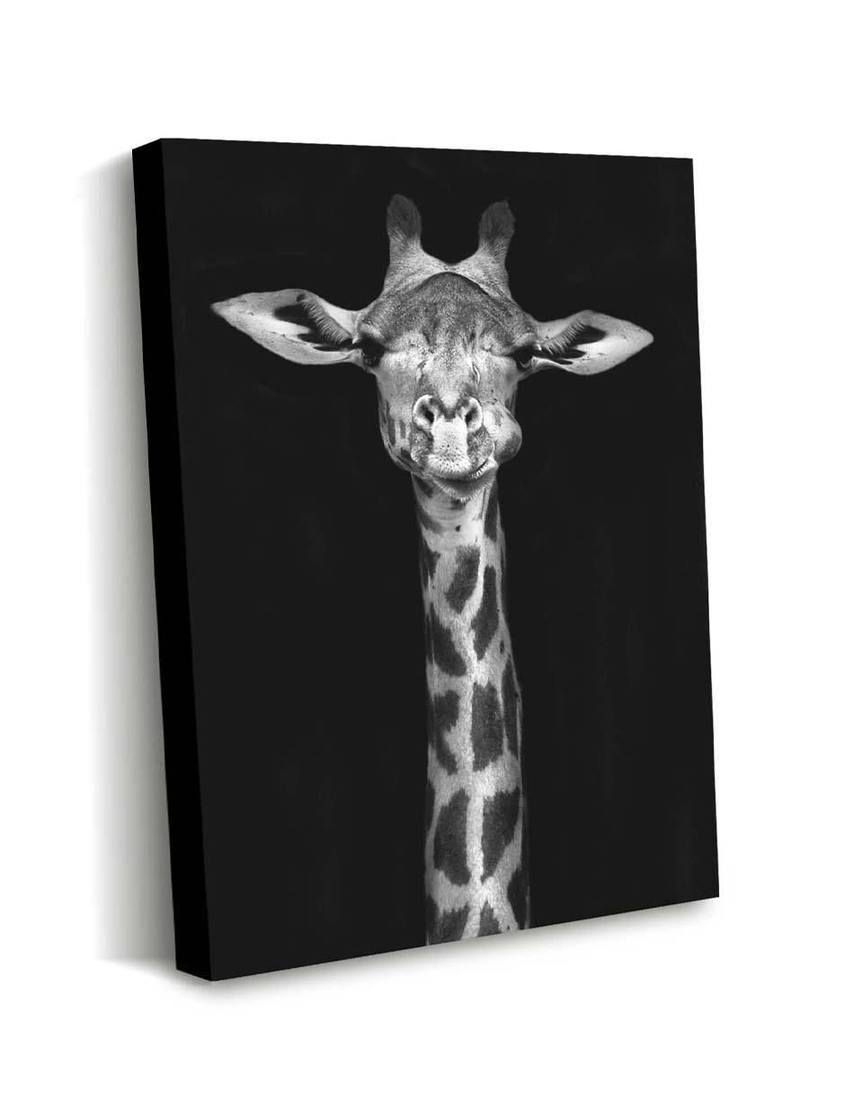 Cuadro decorativo Canvas Art Jirafa en blanco y negro con barniz a registro