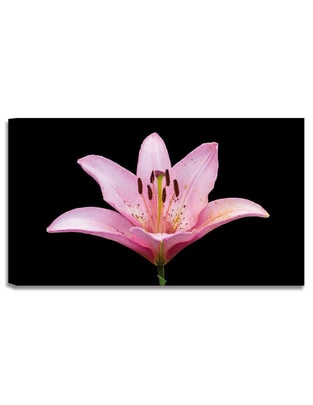 Litografía Flores técnica mixta