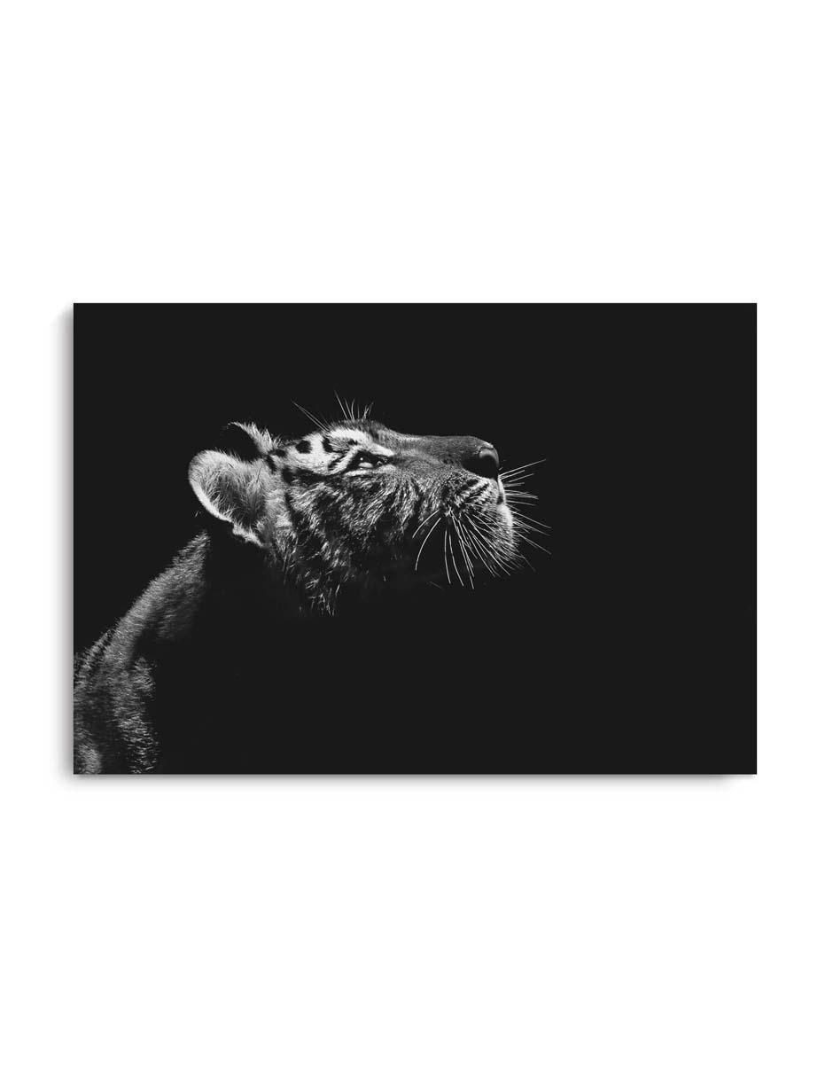 Cuadro decorativo Canvas Art Perfil de tigre con barniz a registro