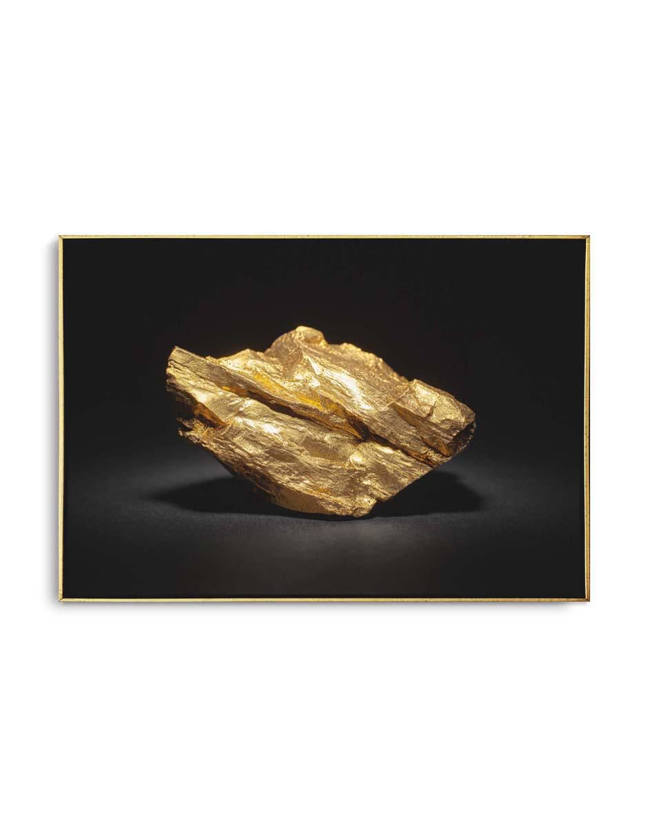 Cuadro decorativo Pepita de oro con barniz a registro 1