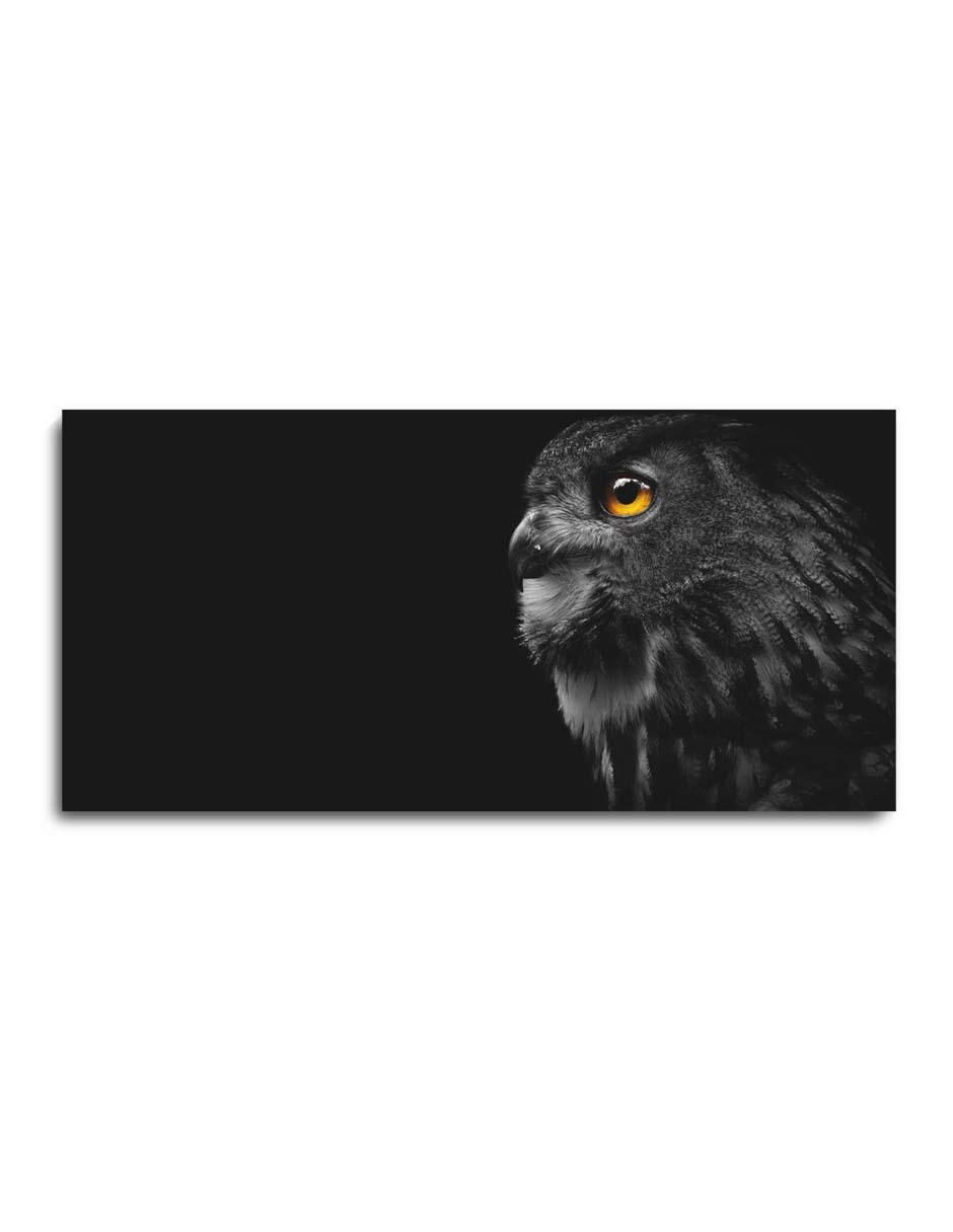 Cuadro decorativo Canvas Art Gran búho con barniz a registro