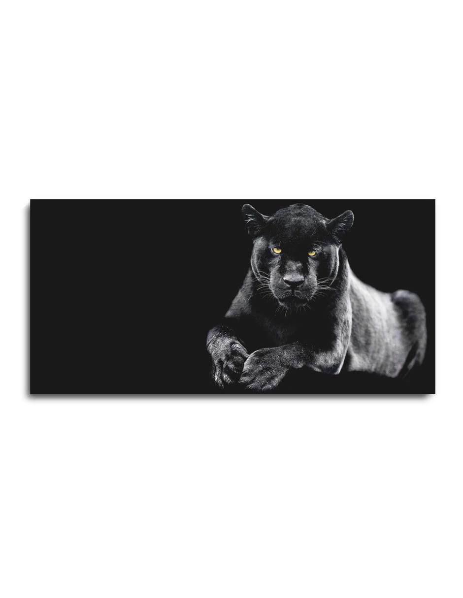 Cuadro decorativo Canvas Art Puma en la obscuridad con barniz a registro