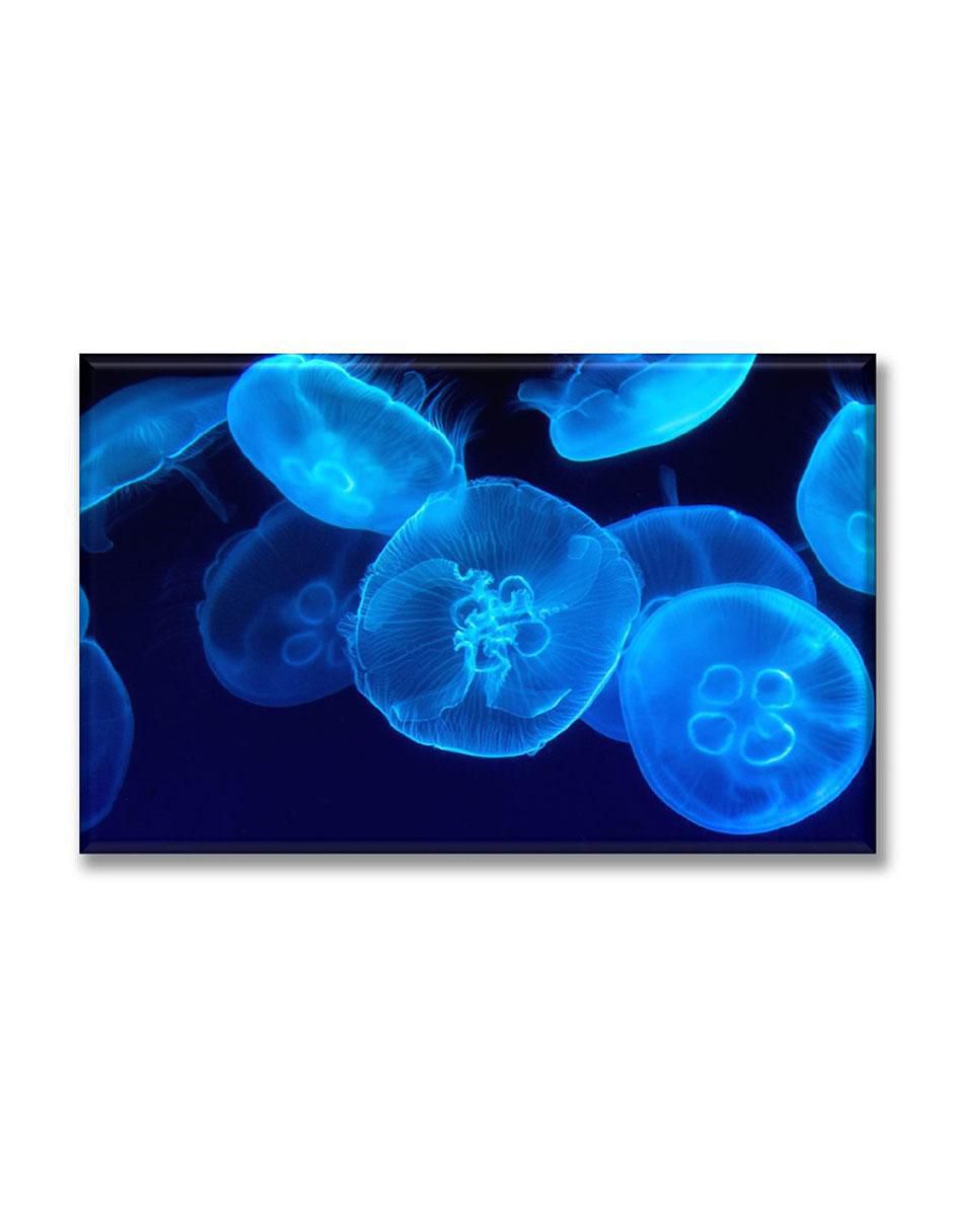 Cuadro decorativo Medusas 1