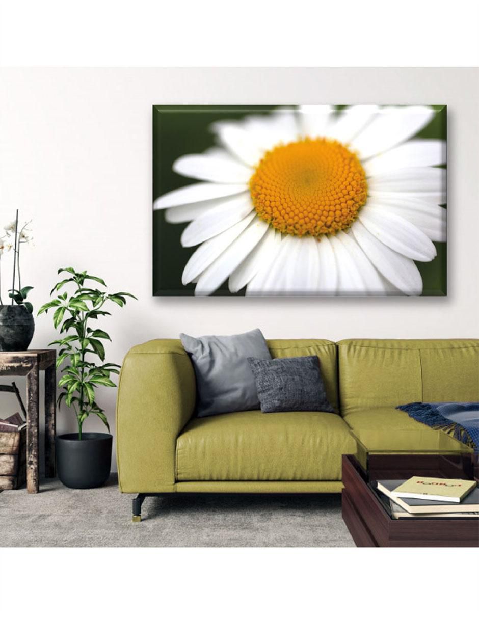 Cuadro decorativo Margarita blanca 6