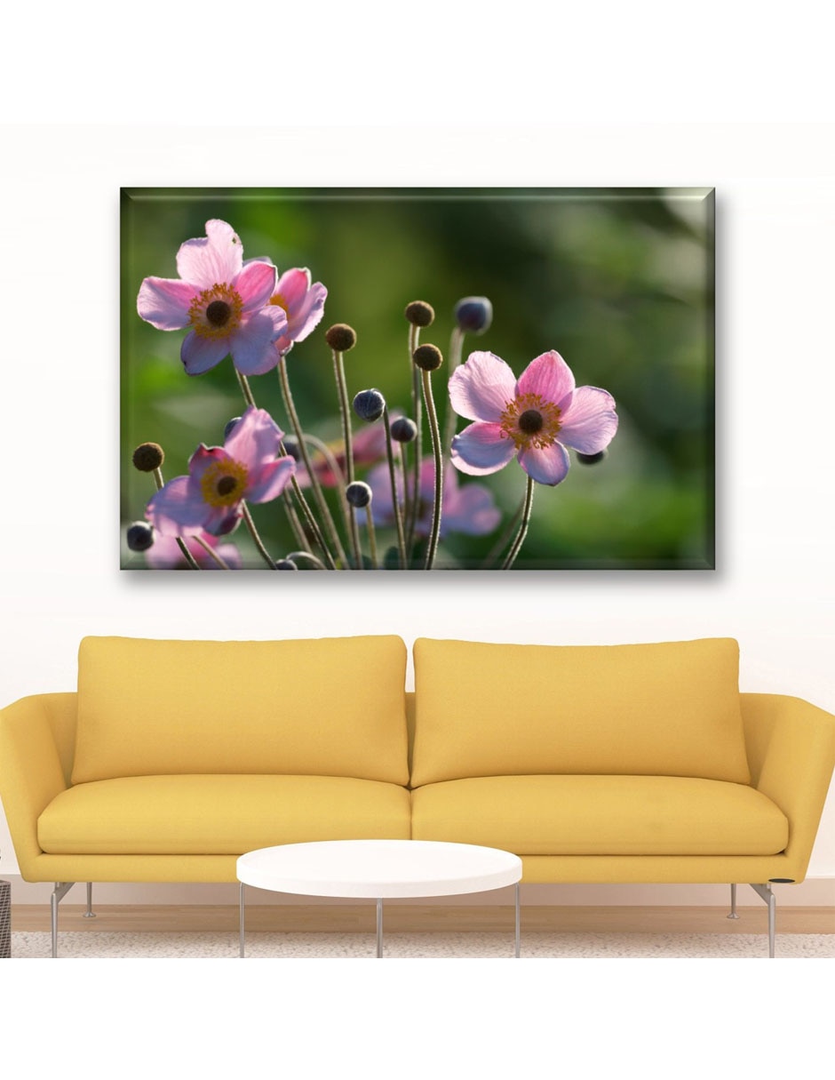 Cuadro decorativo Anémonas rosas 5