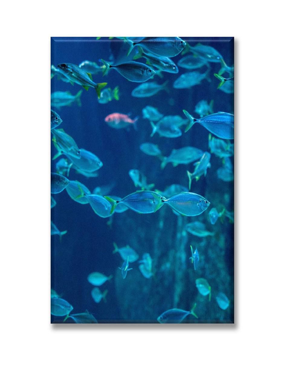 Cuadro decorativo Industria Grafica Ciento 23 Acuario de peces