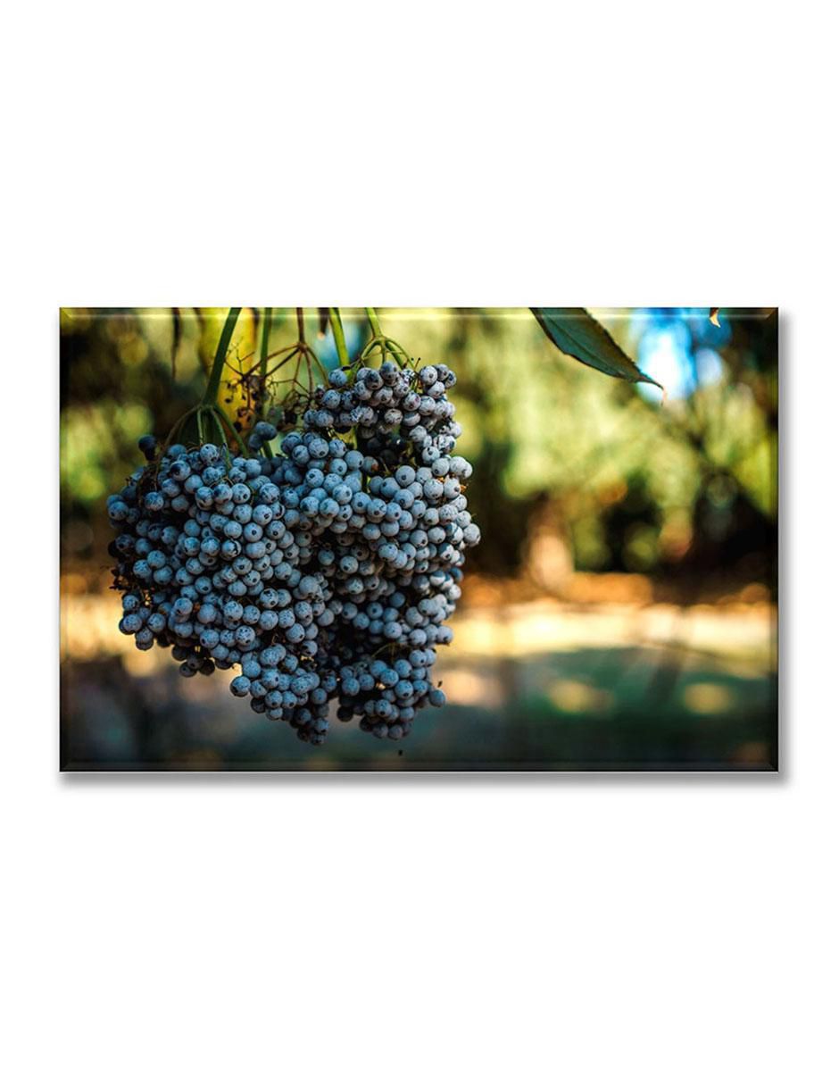 Cuadro decorativo Cosecha de uvas 1