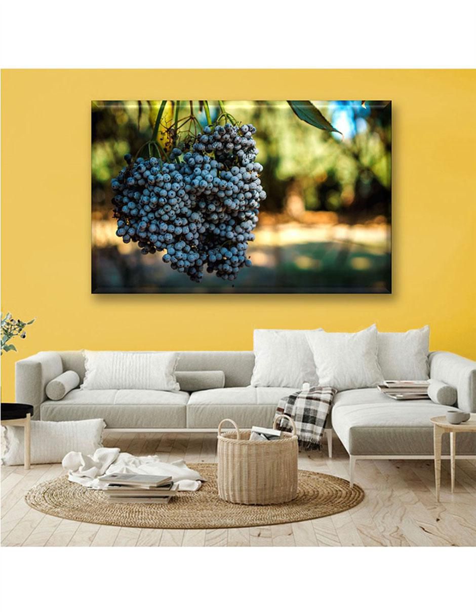 Cuadro decorativo Cosecha de uvas 6