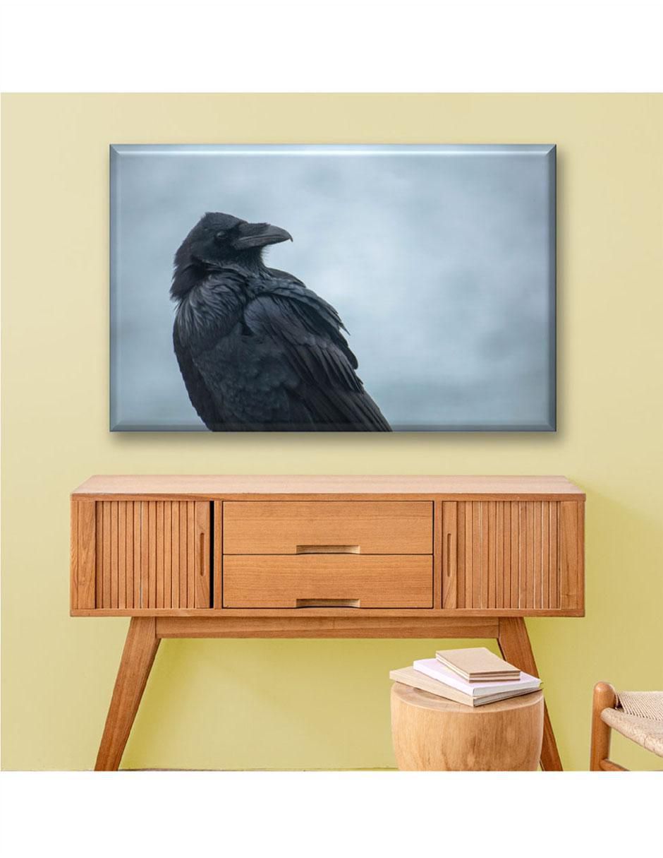 Cuadro decorativo Cuervo 6