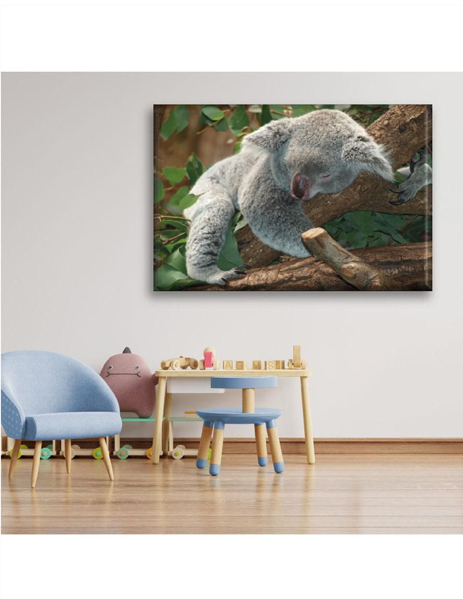 Cuadro decorativo Koala durmiendo 6