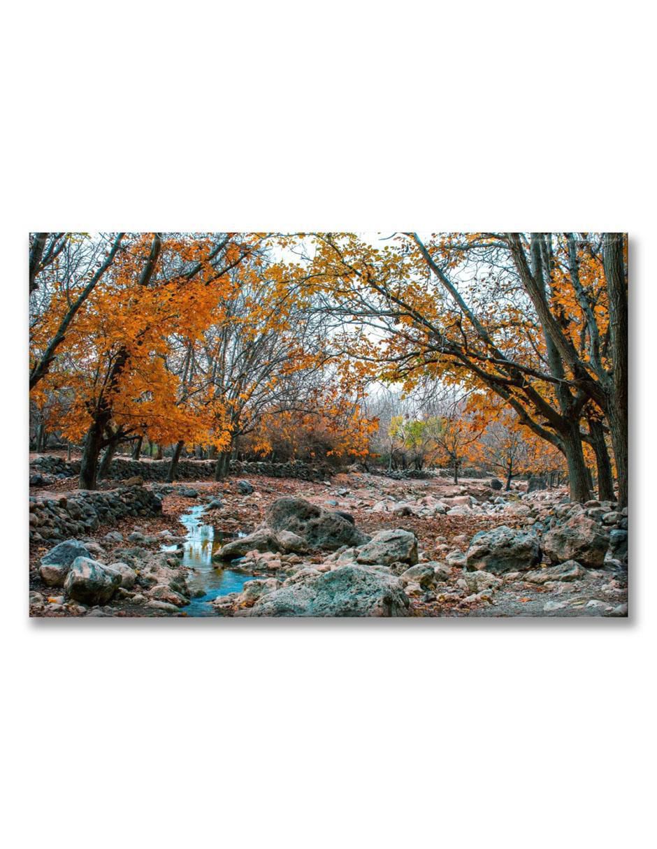 Cuadro decorativo Industria Grafica Ciento 23 Bosque de árboles naranjas