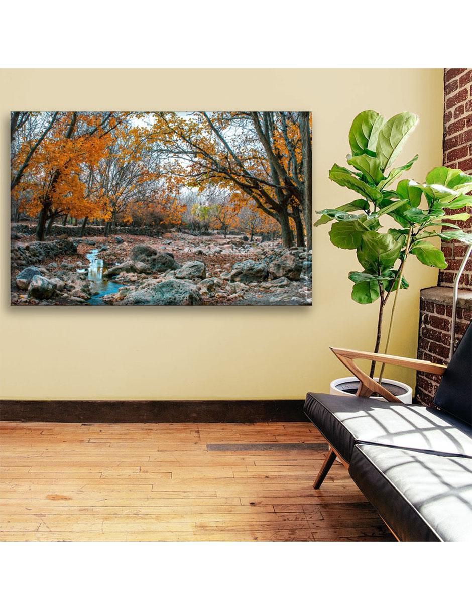 Cuadro decorativo Industria Grafica Ciento 23 Bosque de árboles naranjas