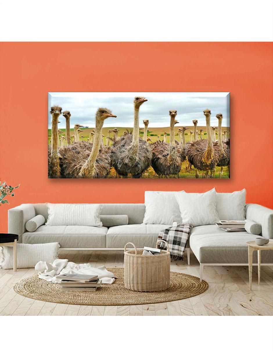 Cuadro decorativo Industria Grafica Ciento 23 Avestruz