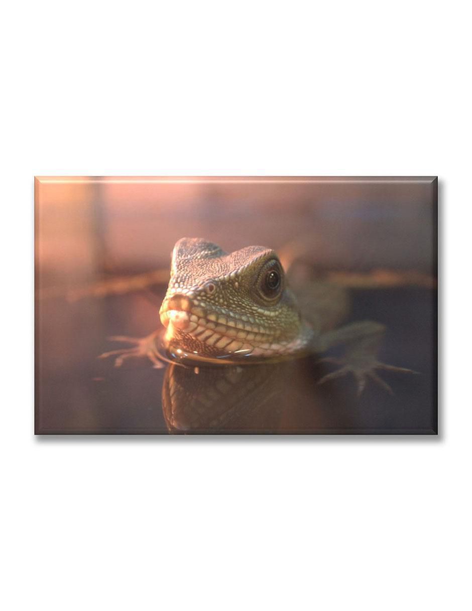 Cuadro decorativo Industria Grafica Ciento 23 Reptil nadando