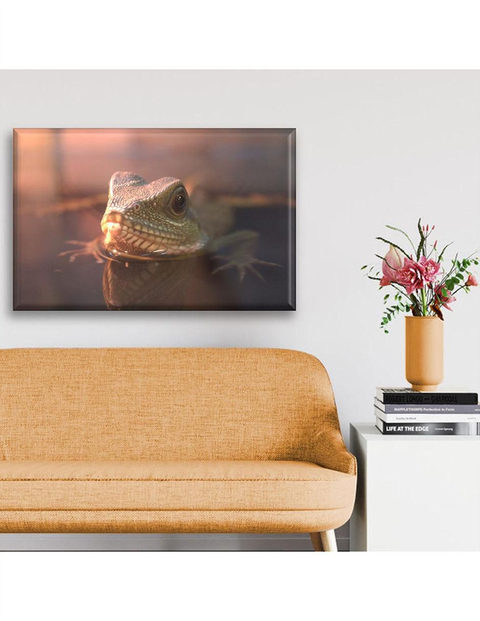 Cuadro decorativo Industria Grafica Ciento 23 Reptil nadando