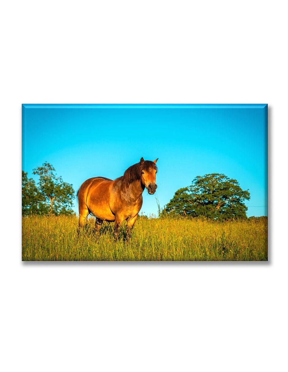 Cuadro decorativo Pixtreats caballo café 1