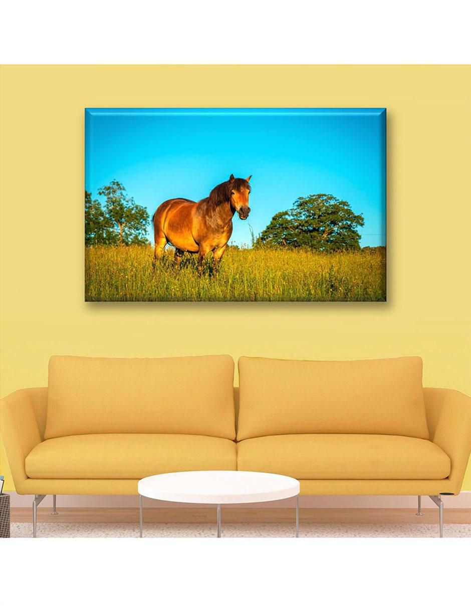 Cuadro decorativo Pixtreats caballo café 6