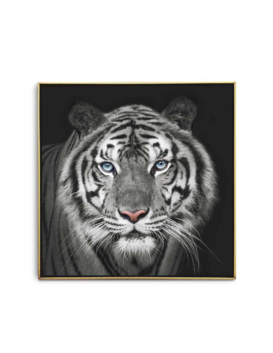Cuadro decorativo Tigre blanco indochino con barniz a registro