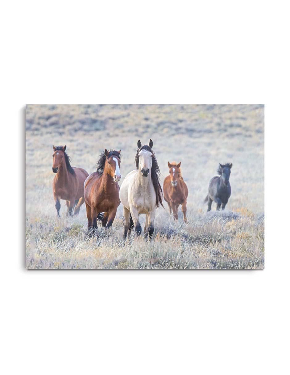 Cuadro decorativo Canvas Art Pequeña manada de caballos con barniz a registro