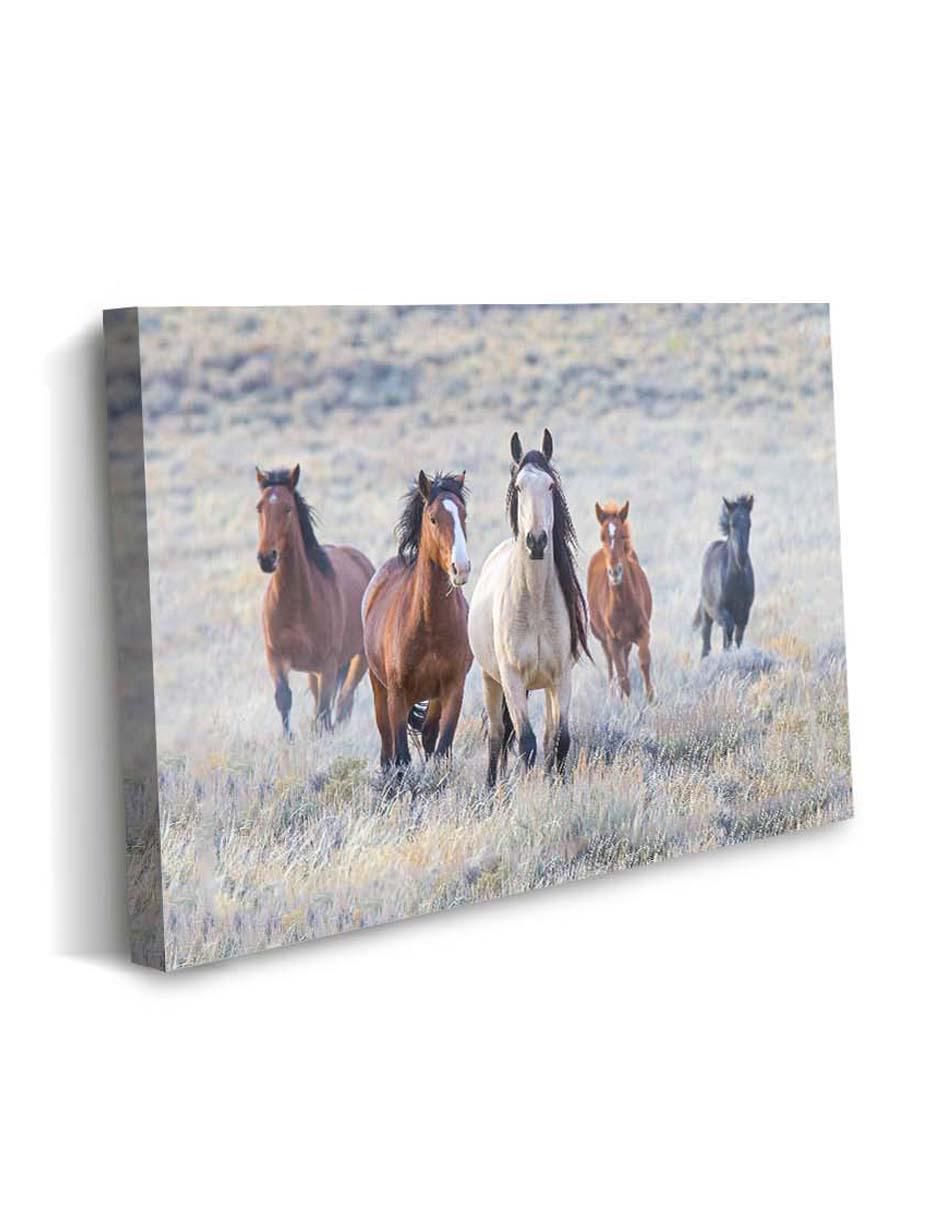 Cuadro decorativo Canvas Art Pequeña manada de caballos con barniz a registro