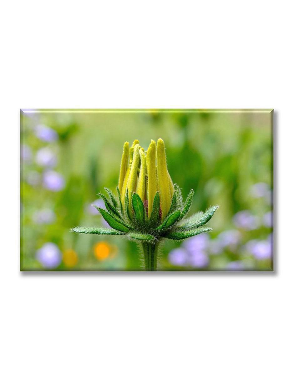 Cuadro decorativo Floreciendo 1