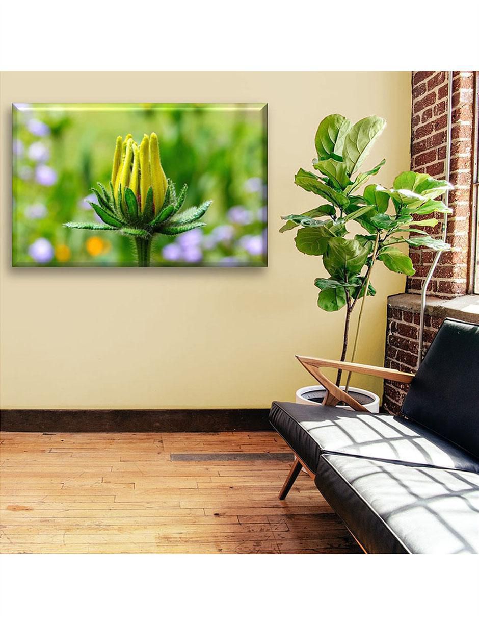 Cuadro decorativo Floreciendo 6