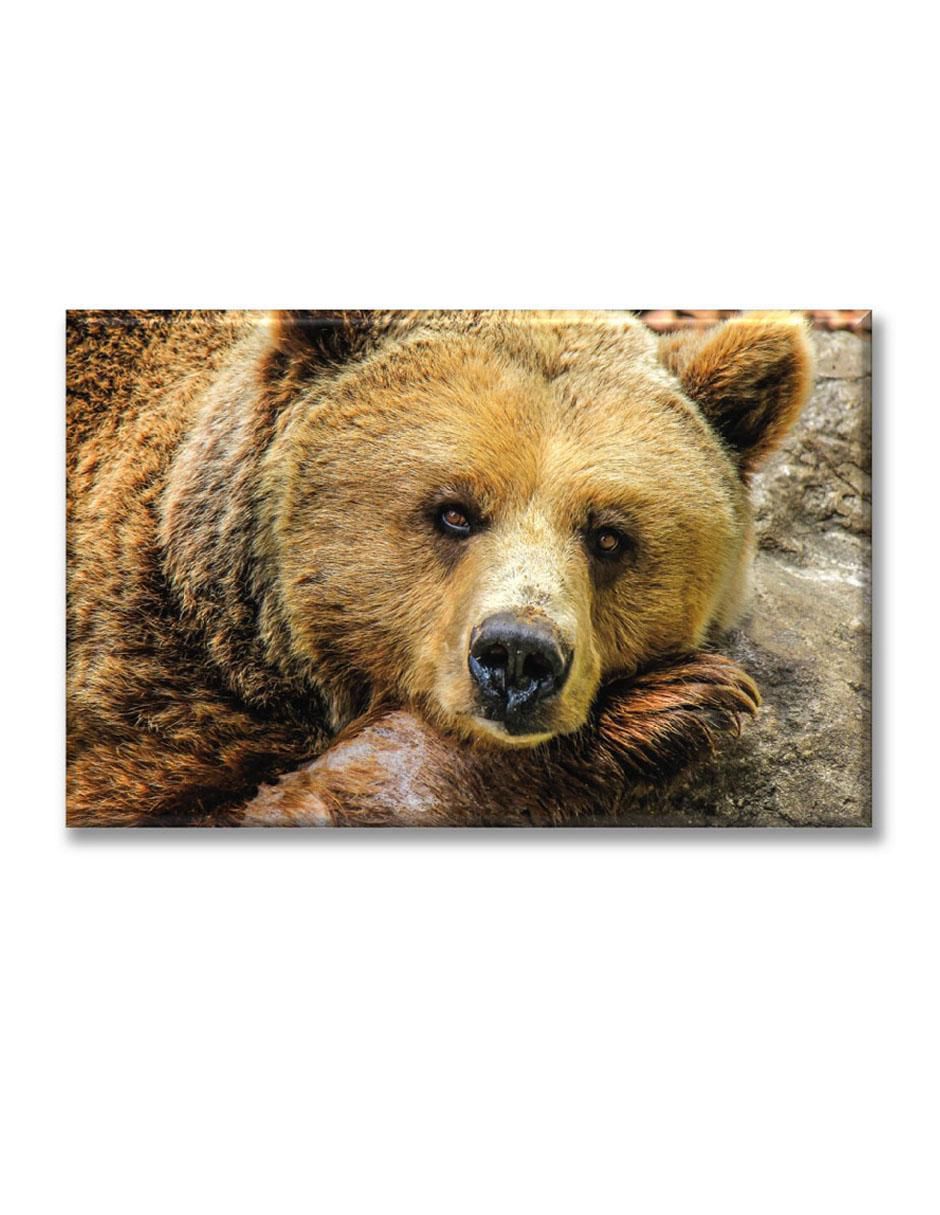 Cuadro decorativo Oso tierno 1