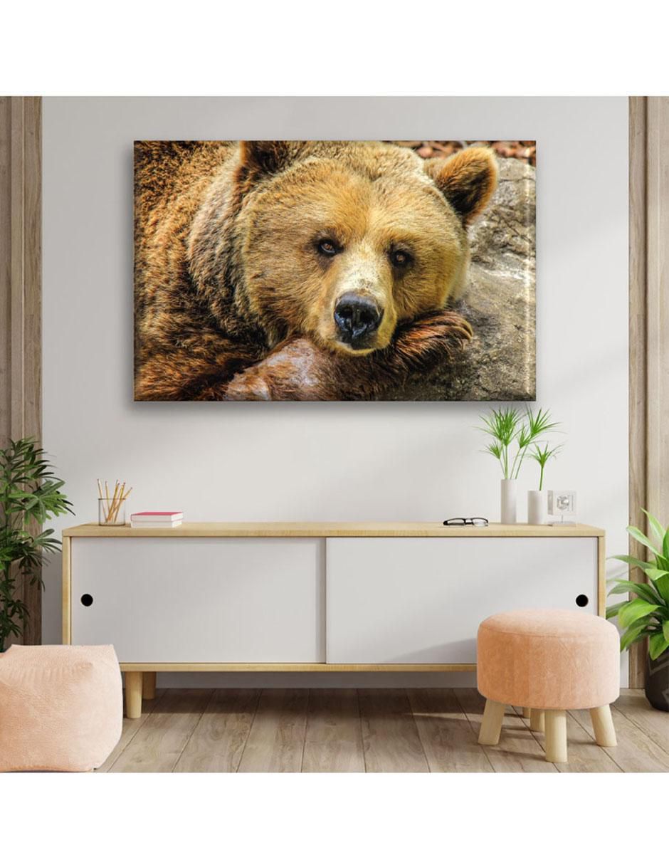 Cuadro decorativo Oso tierno 6