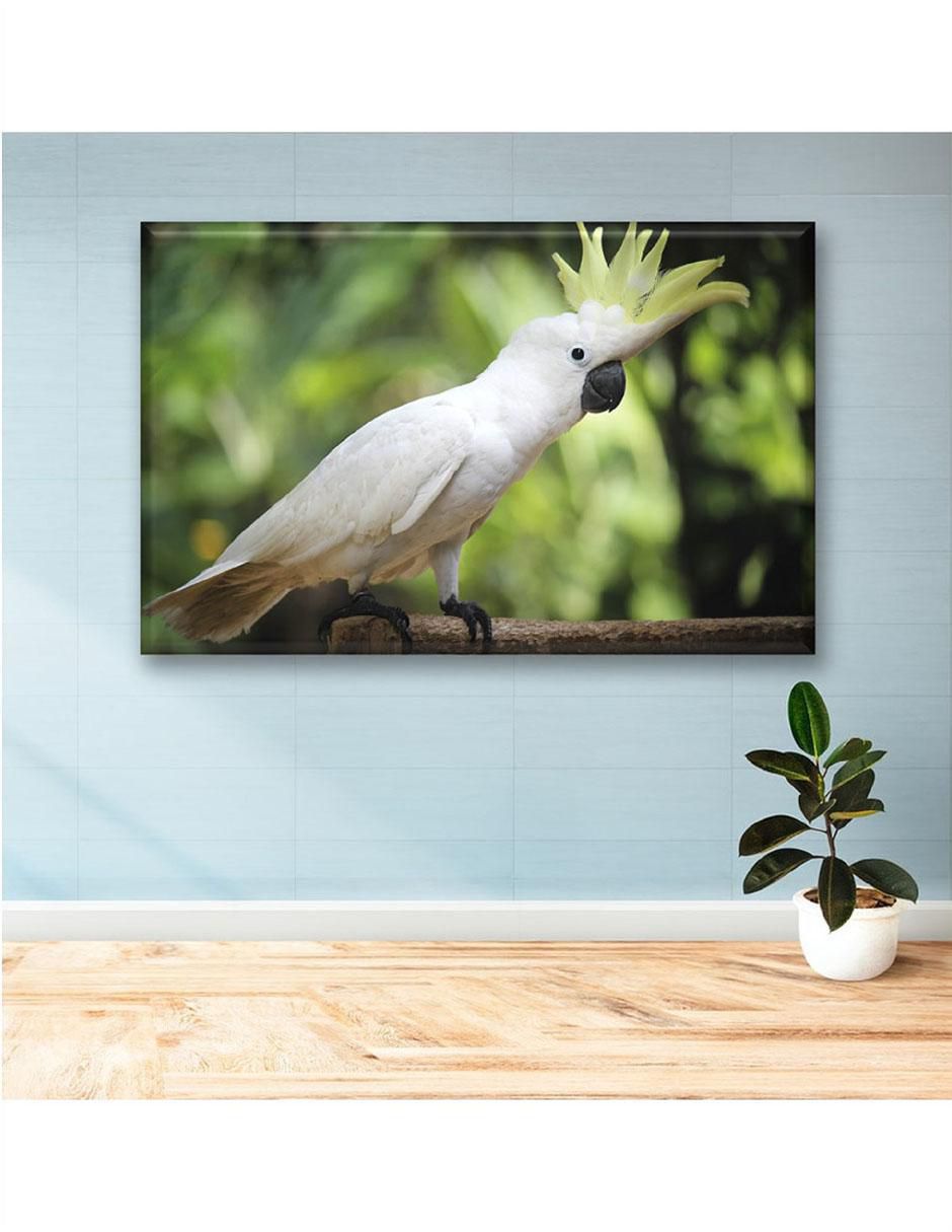 Cuadro decorativo Cacatúa 6