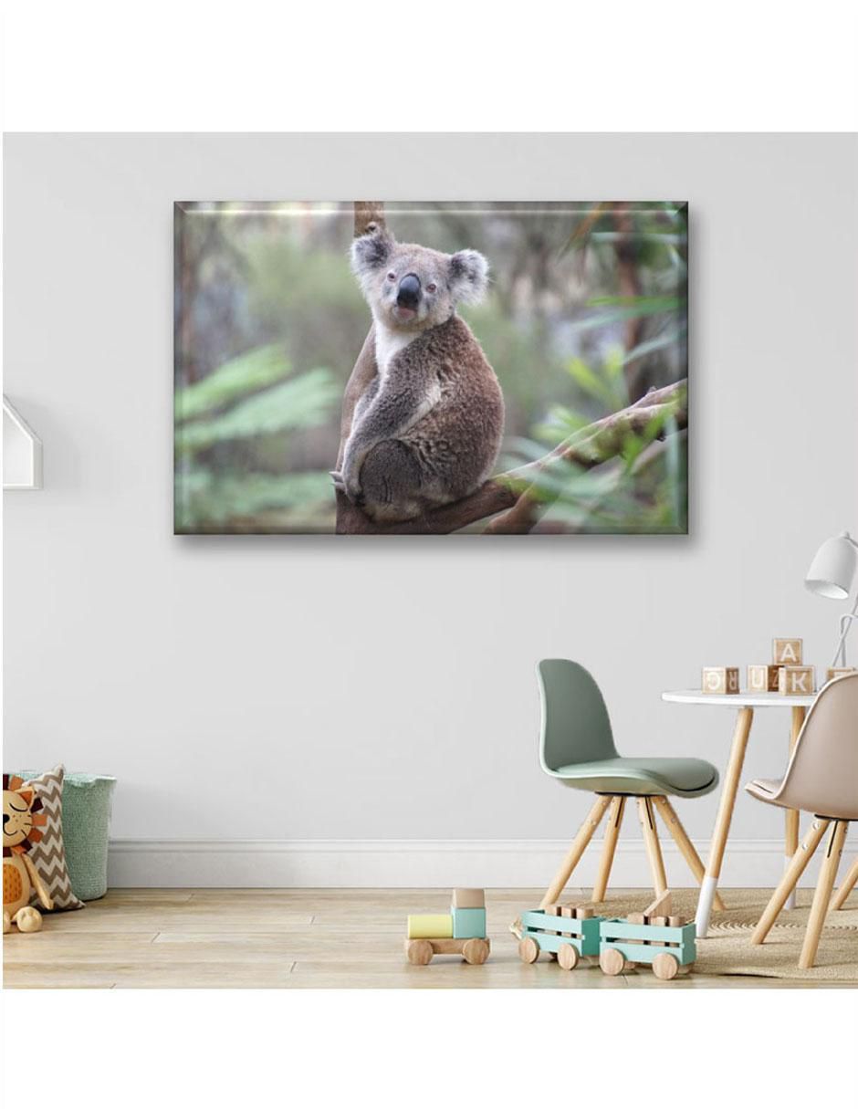 Cuadro decorativo Koala 6