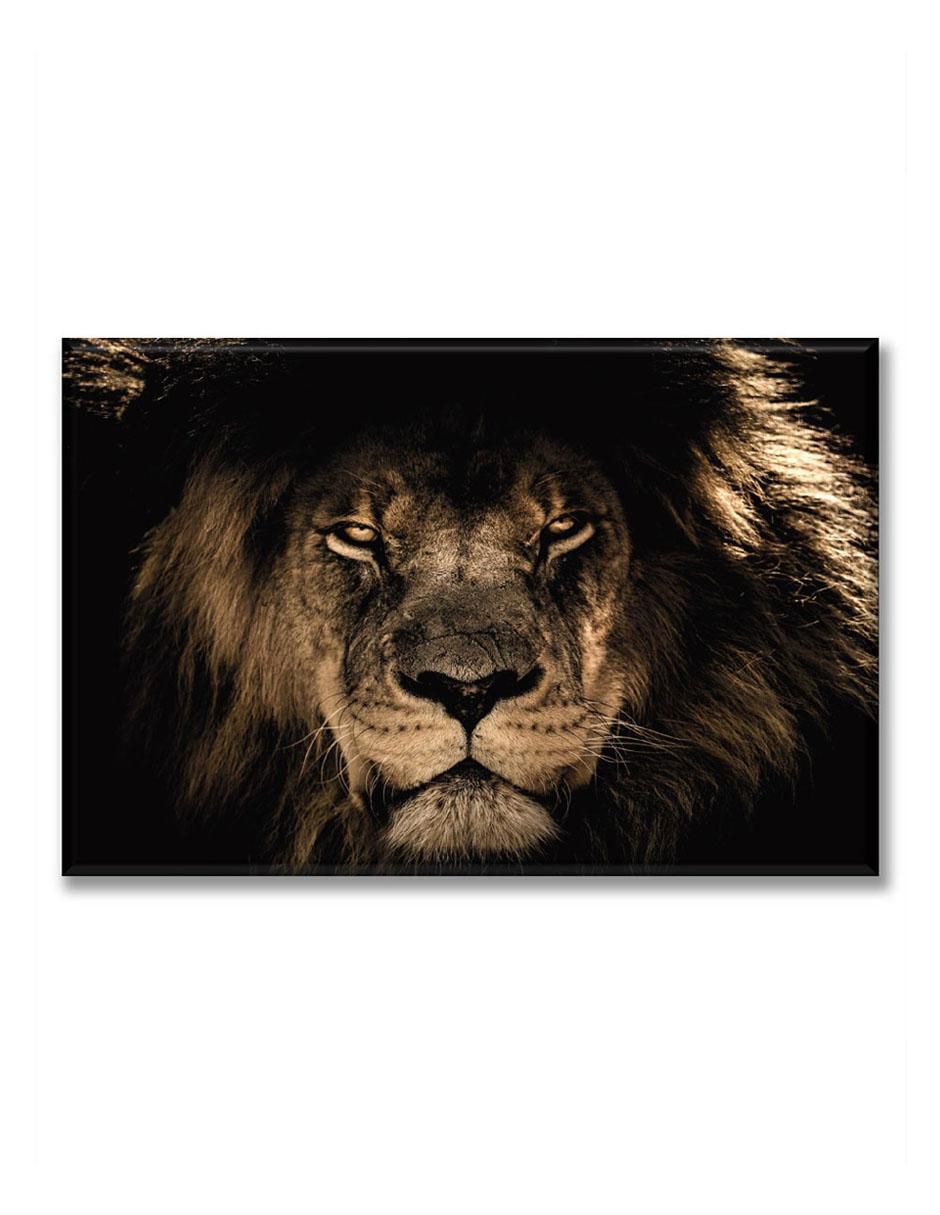 Cuadro decorativo Mirada león 1