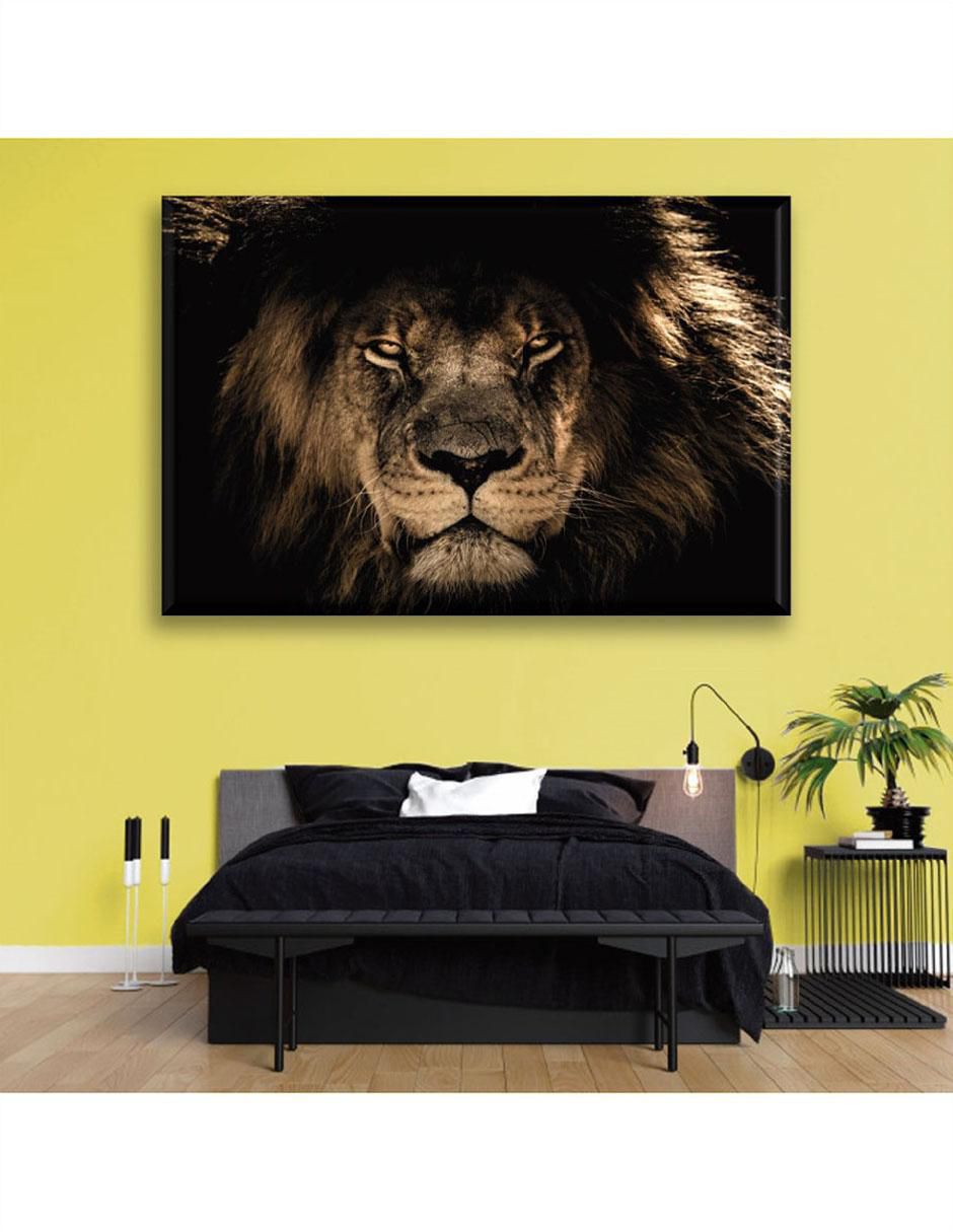 Cuadro decorativo Mirada león 6
