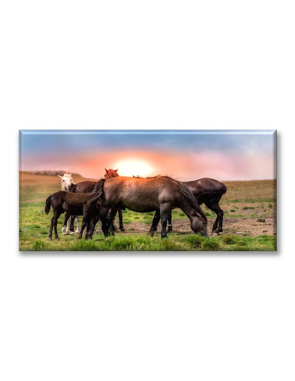 Cuadro decorativo Caballos al atardecer 1