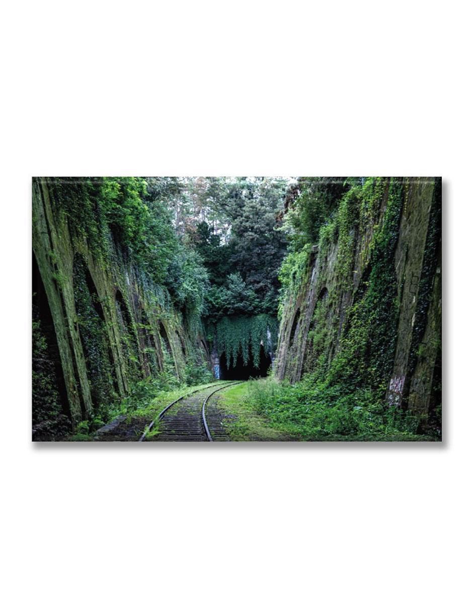 Cuadro decorativo Industria Grafica Ciento 23 Carril en el bosque 2