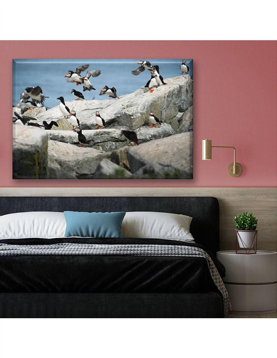Cuadro decorativo Parvada de pingüinos 6