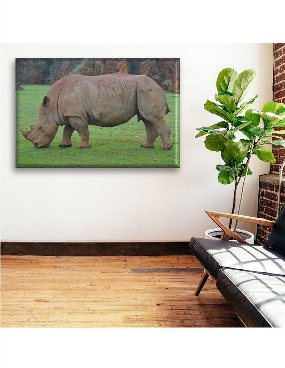 Cuadro decorativo Rinoceronte 6