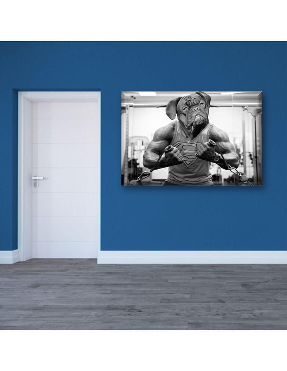 Cuadro decorativo Dogo gym 6