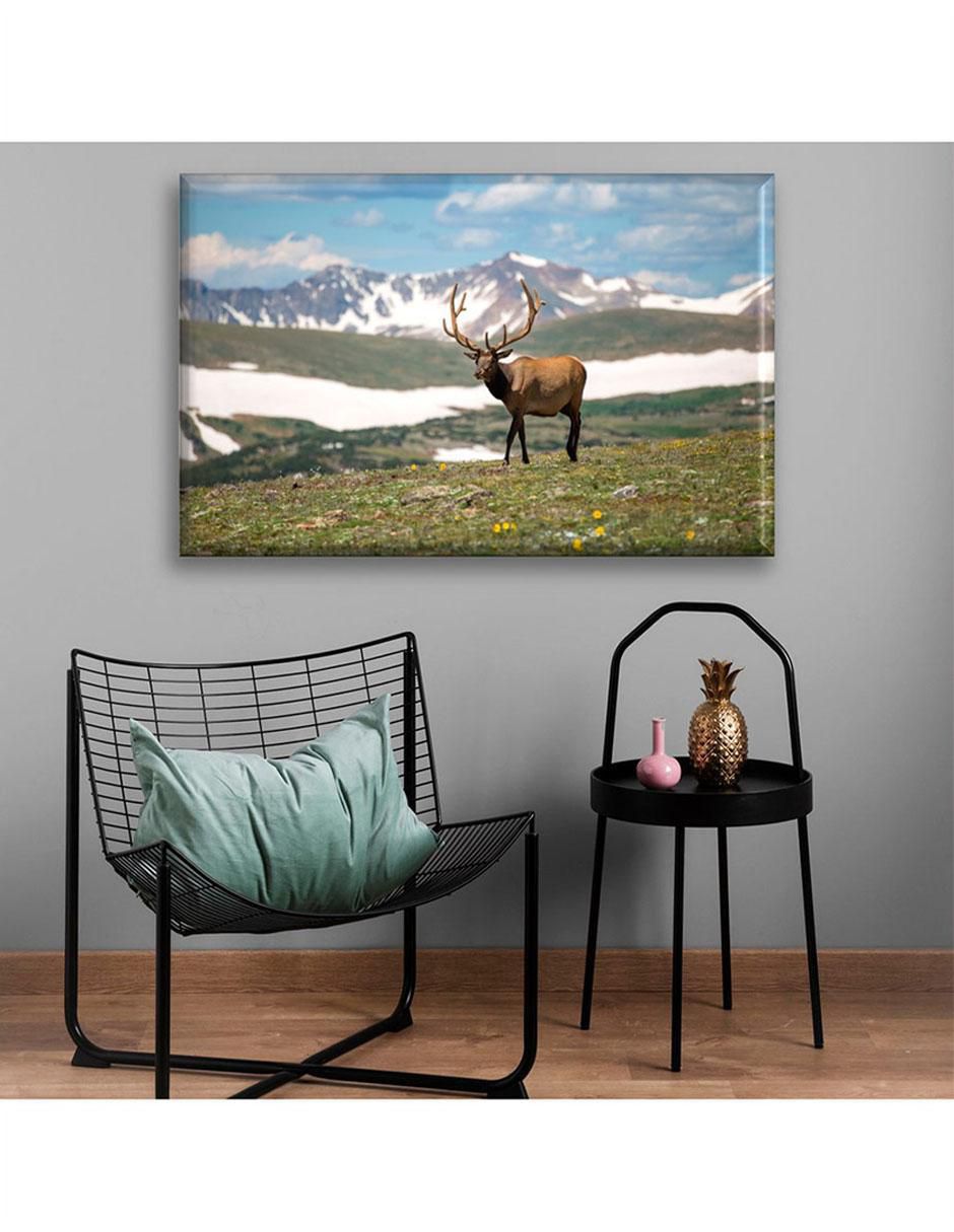 Cuadro decorativo Ciervo 6
