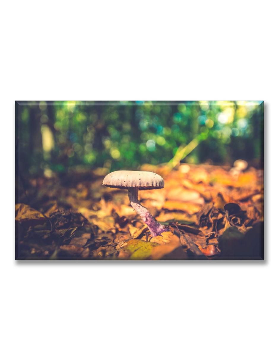 Cuadro decorativo Hongo 1