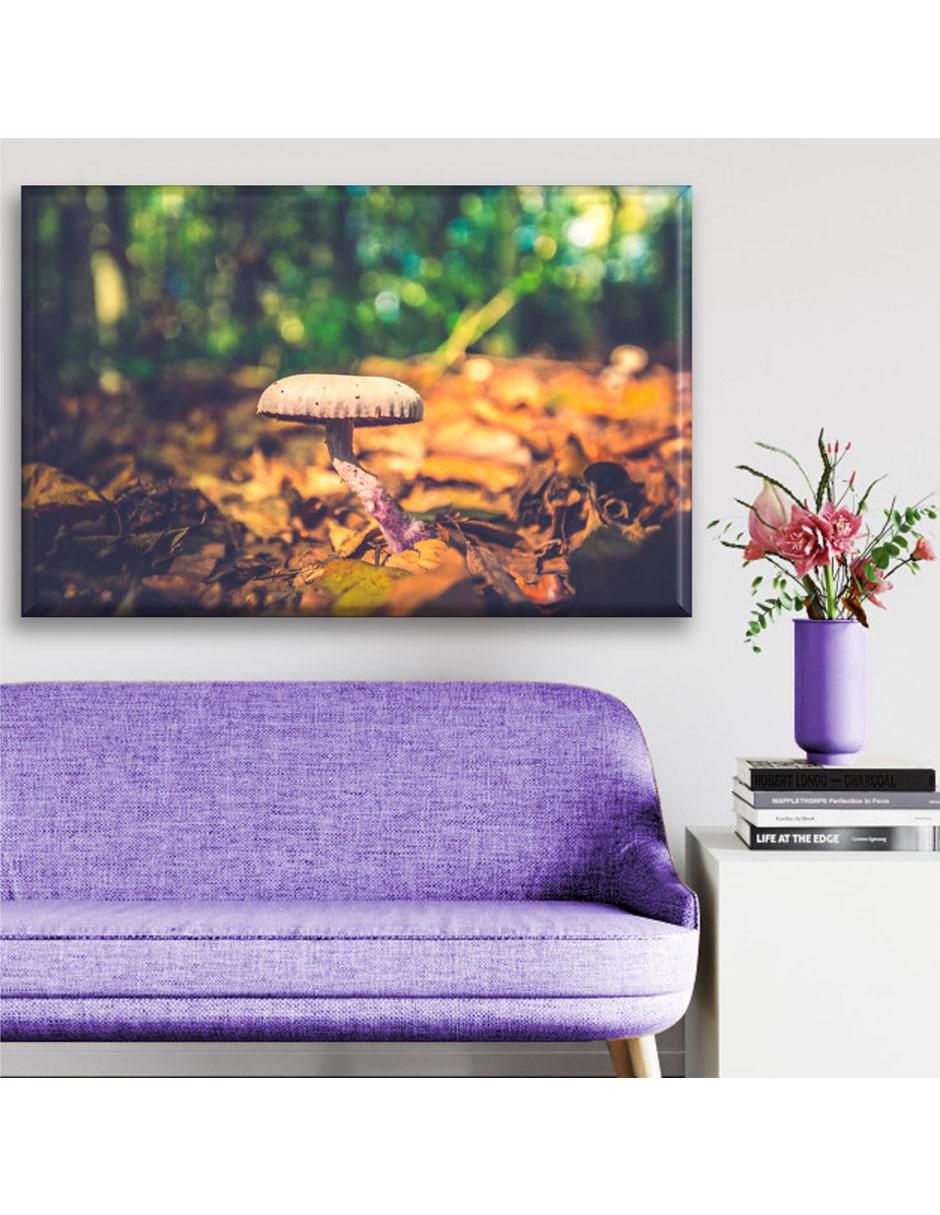 Cuadro decorativo Hongo 5