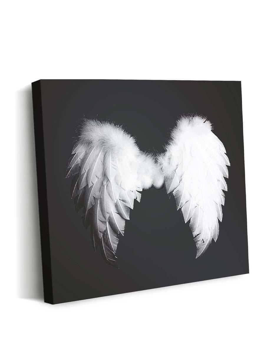 Cuadro decorativo Ala de ángel esponjosas con barniz a registro 4