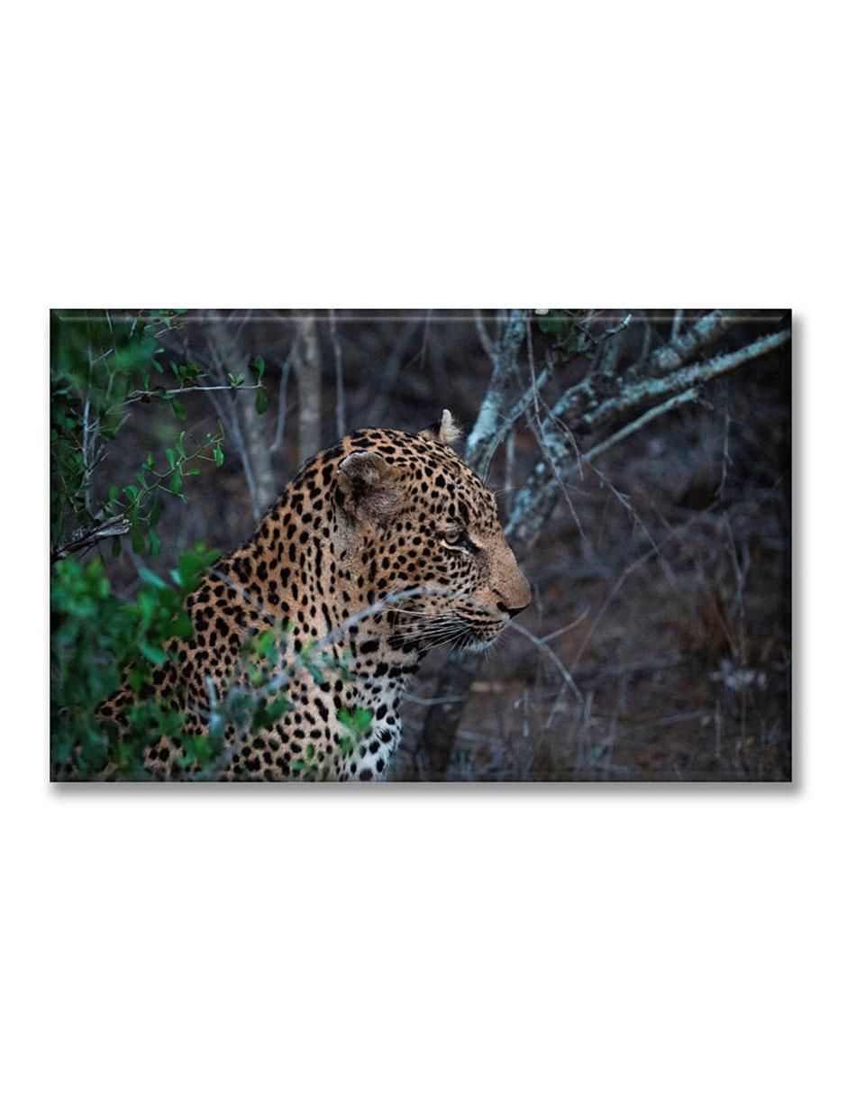 Cuadro decorativo Industria Grafica Ciento 23 Perfil de jaguar