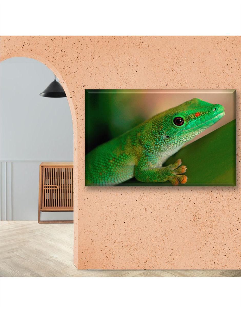 Cuadro decorativo Gecko 6