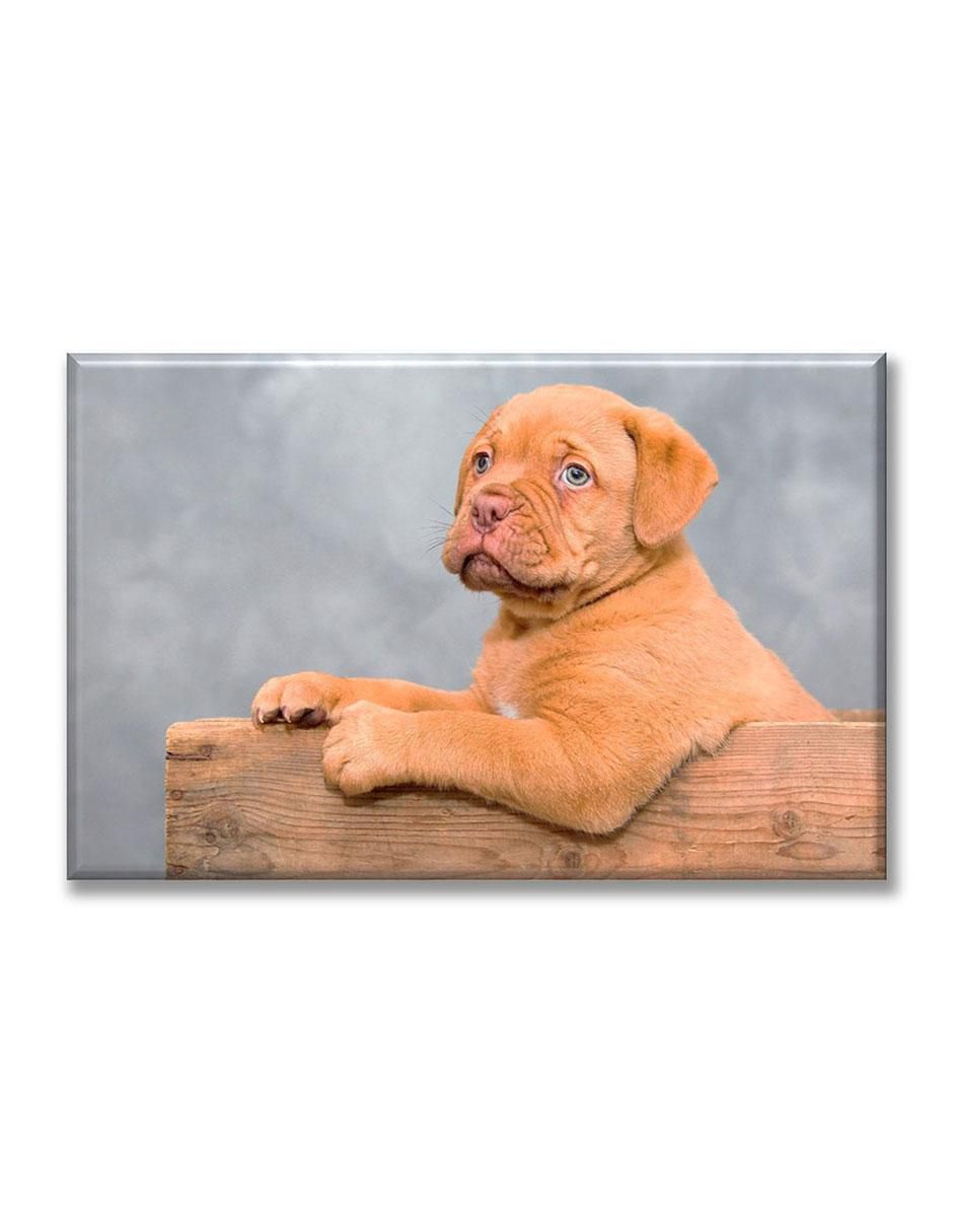 Cuadro decorativo Cachorro guardián 1