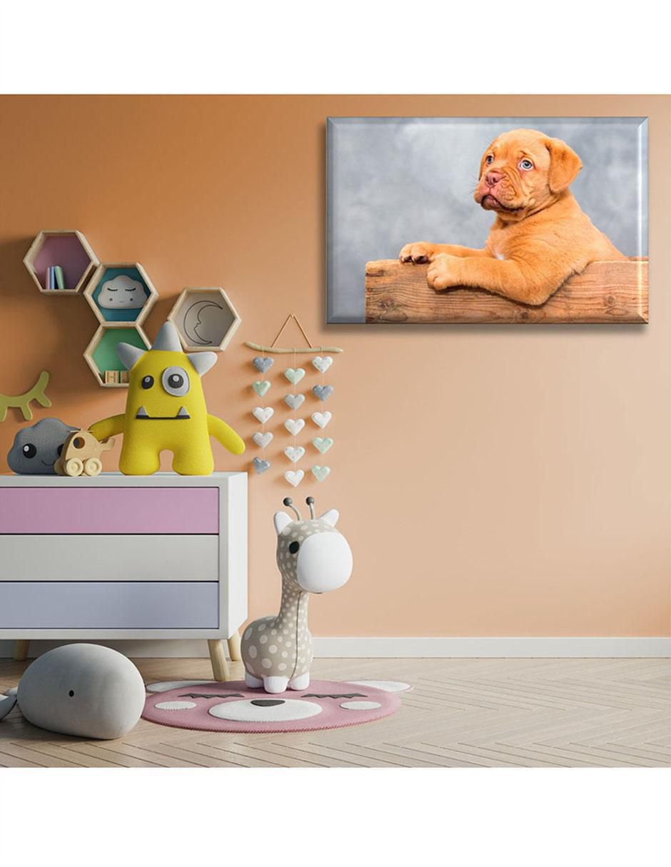 Cuadro decorativo Cachorro guardián 6