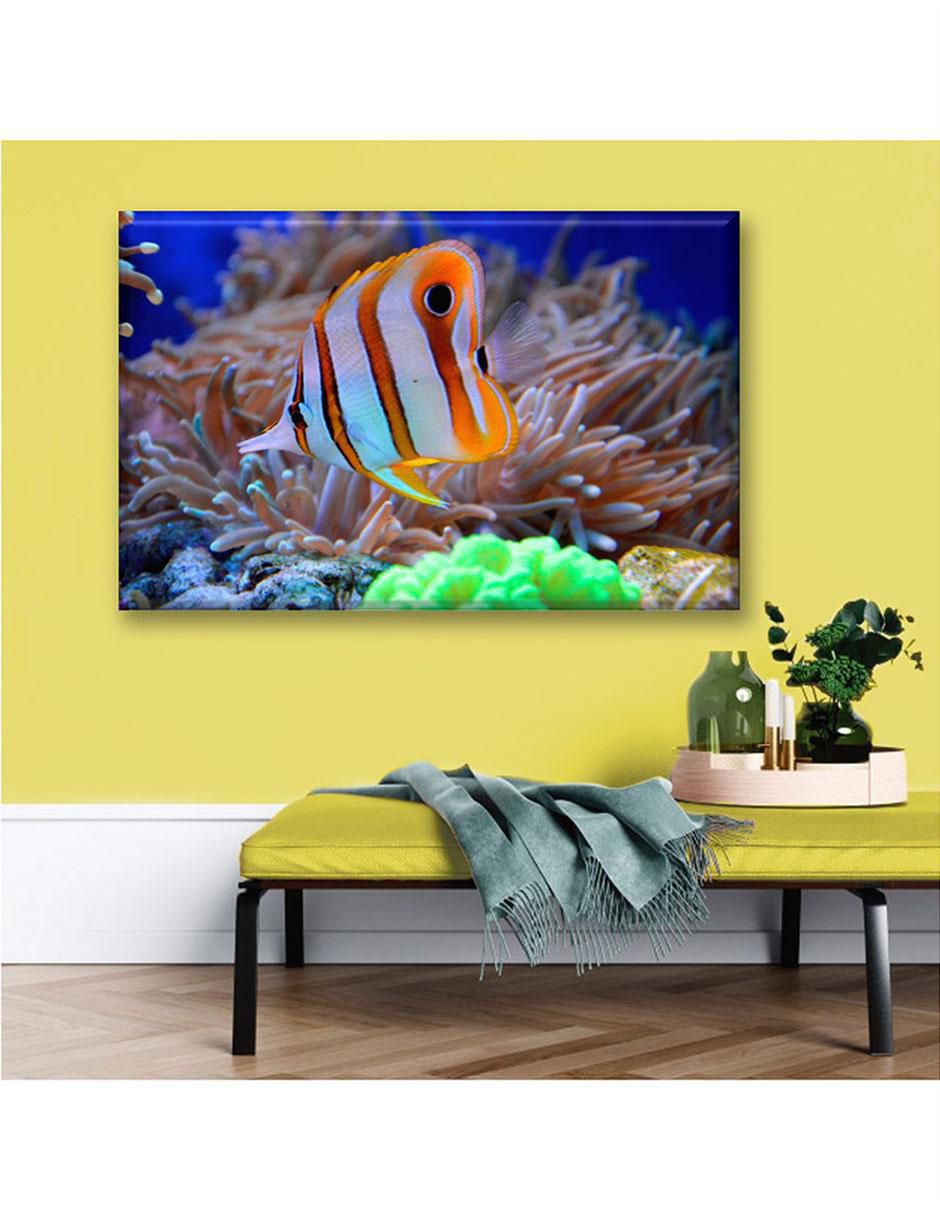 Cuadro decorativo Fauna coral 6