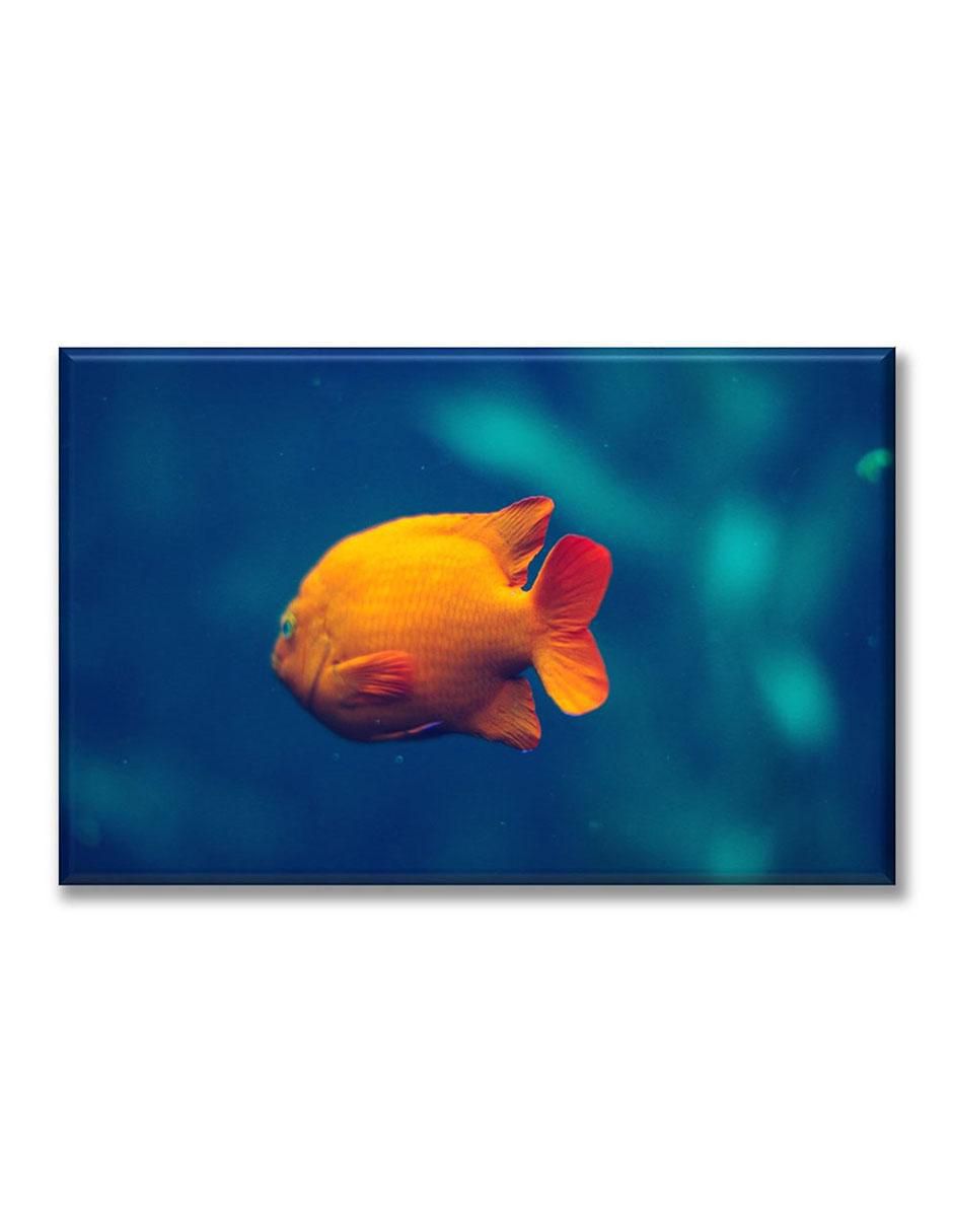 Cuadro decorativo Industria Grafica Ciento 23 Pez amarillo