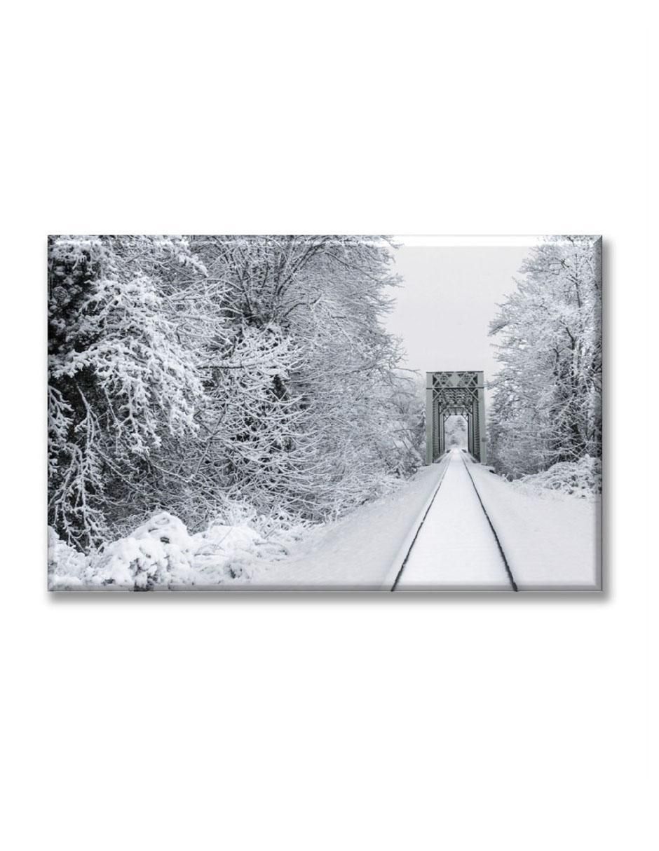 Cuadro decorativo Camino de nieve 1